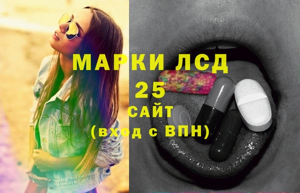 хмурый Белокуриха