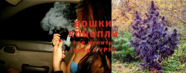 хмурый Белокуриха