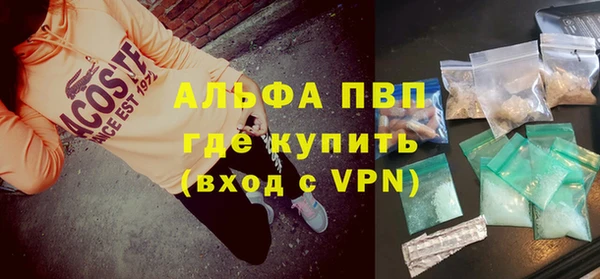 хмурый Белокуриха