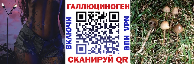 Псилоцибиновые грибы MAGIC MUSHROOMS  Купить закладки  Петухово 